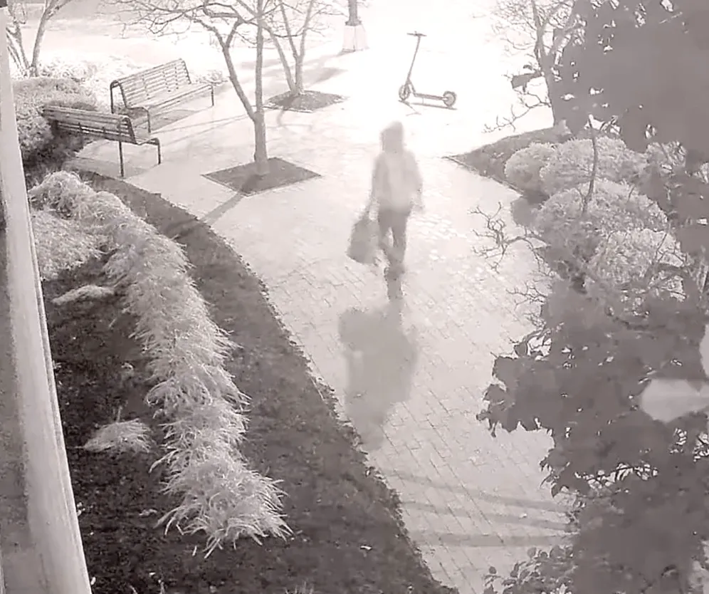 FBI reportedly detains suspect in Jan. 6 pipe bomb investigation