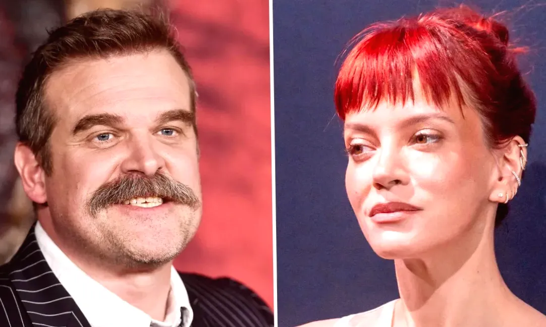 Lily Allen and David Harbour, former partners, anxious about dividing up shared assets