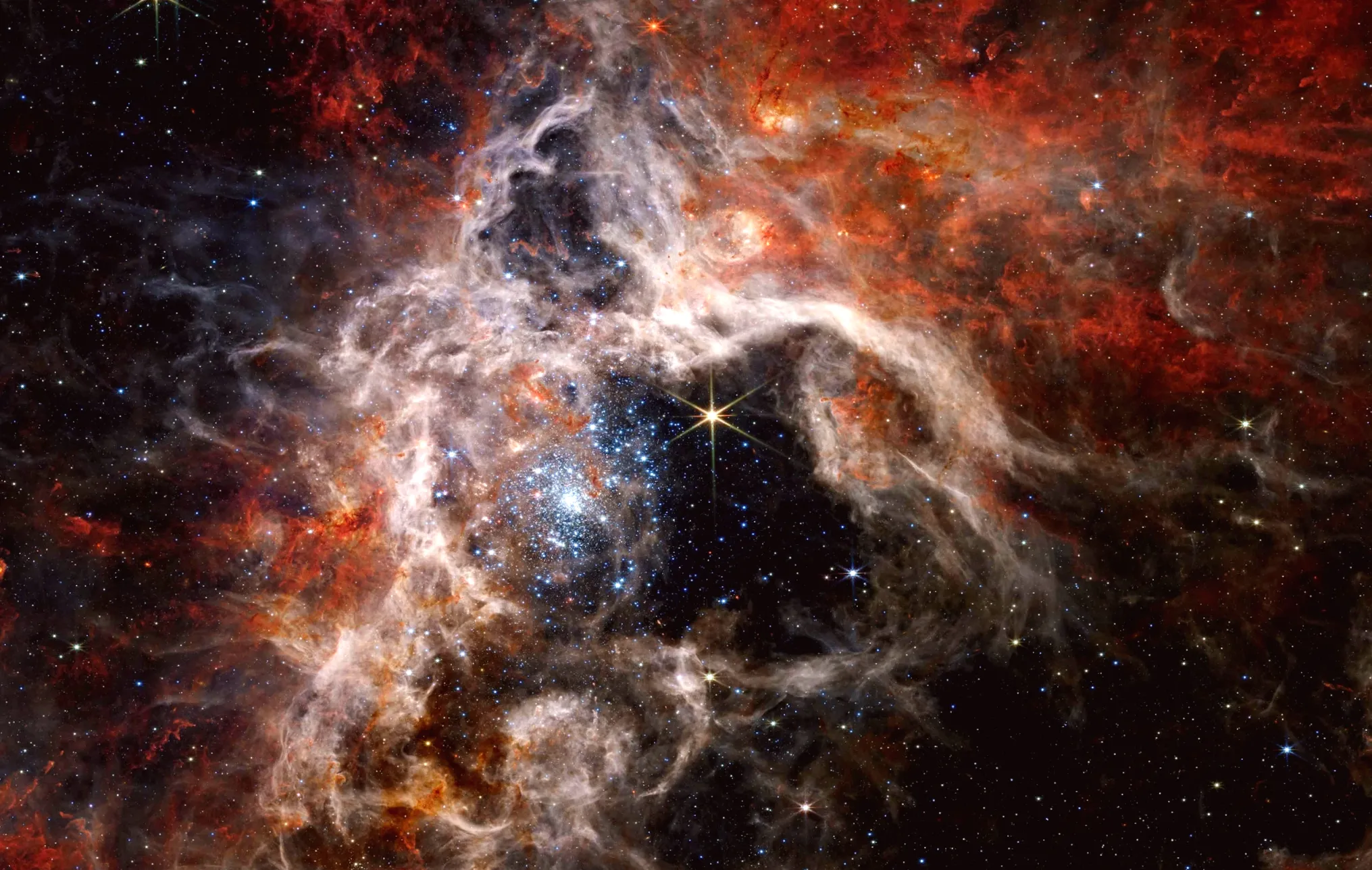 Studying UFOs at college could become a possibility in the near future