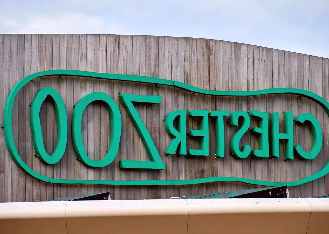 Acrobat Passes Away 3 Months After Backflip Accident at Zoo Performance