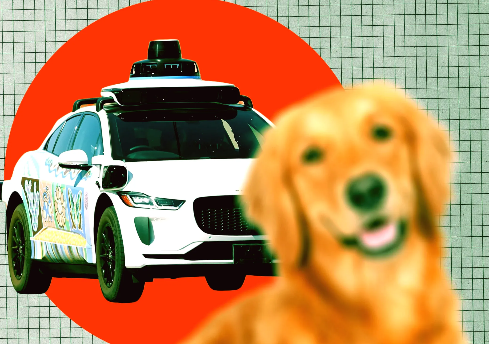 Children Cry as Waymo Hits Dog