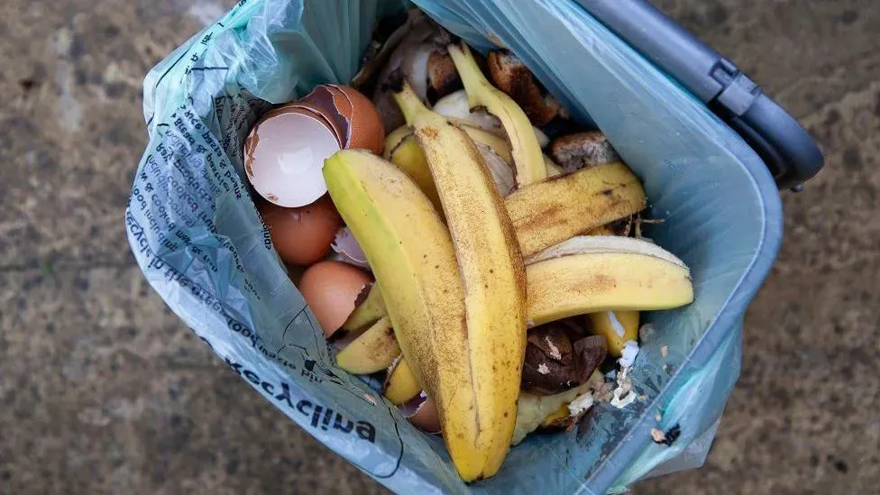 City to change to collecting bins every two weeks