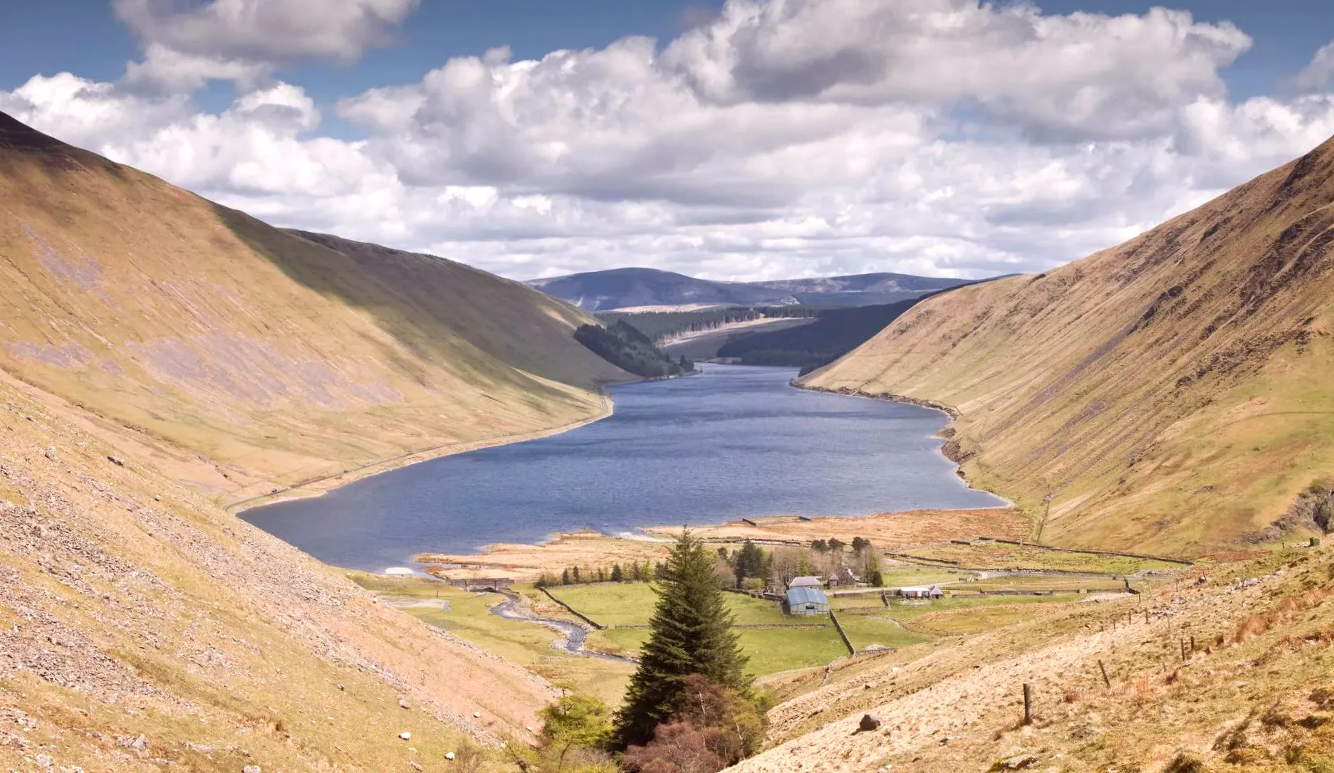 Drones deliver tree seeds to safeguard reservoir
