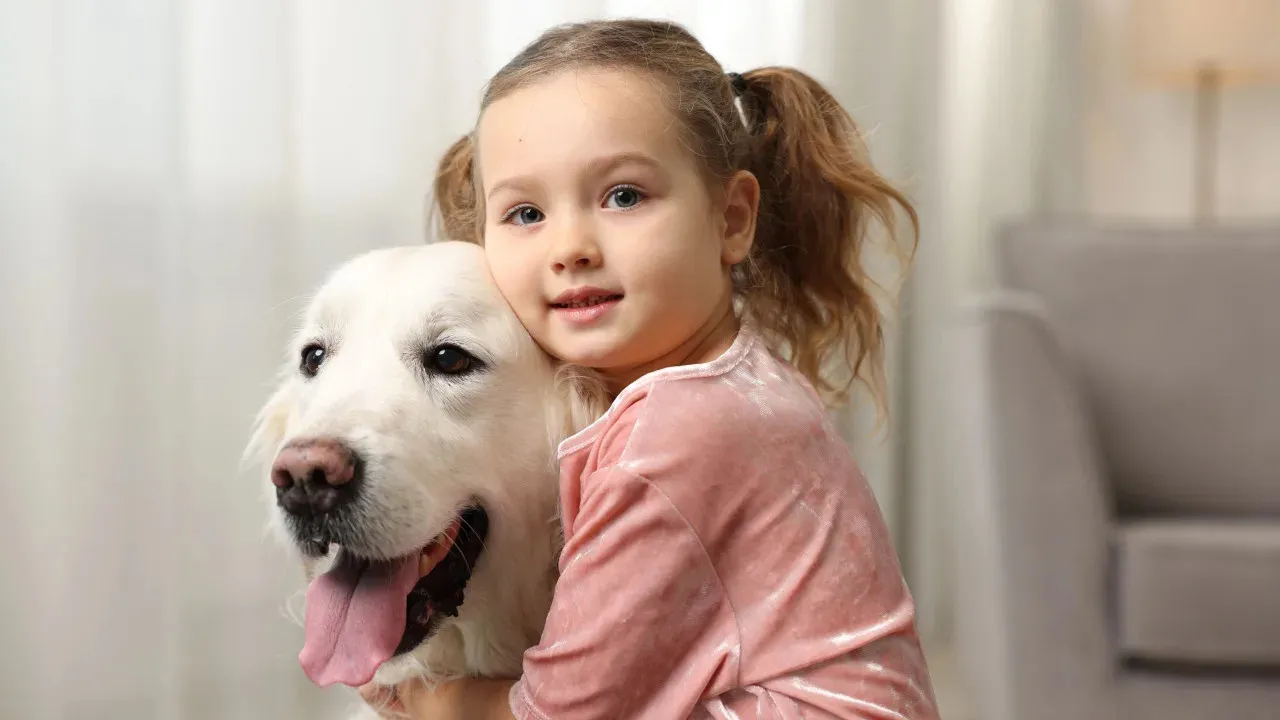 Labrador Protecting His Baby Sister Melts the Internet