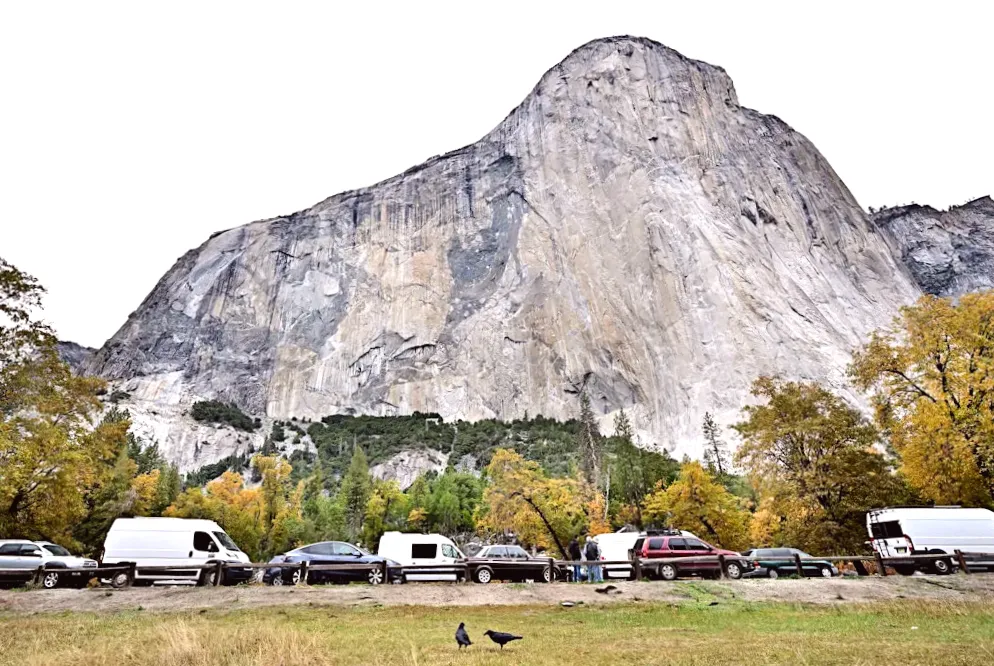 National parks eliminate free entry for MLK Day, include Trump's birthday