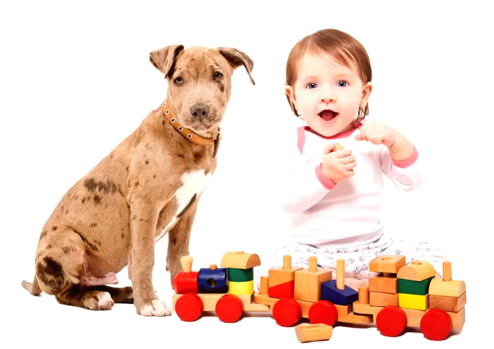 Toddler's Laughter Playing With 'Fierce' Dog Goes Viral