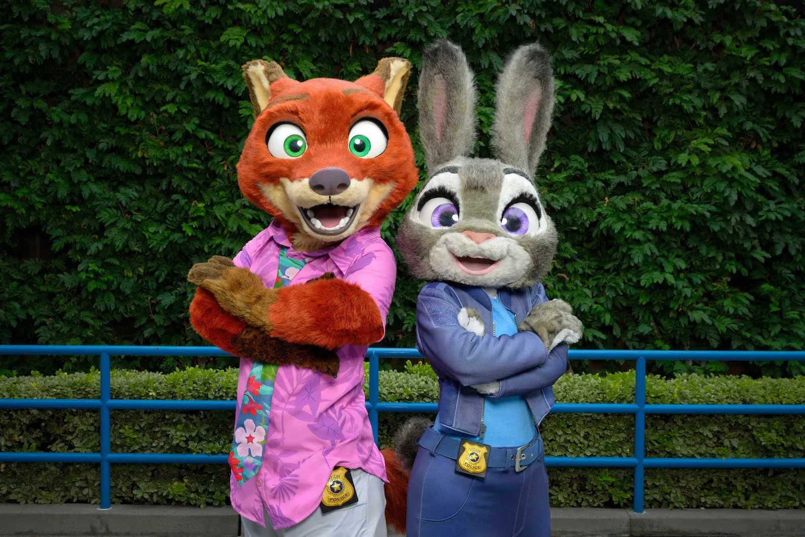 Disney Executive Denies Rumors of Live-Action Zootopia Movie
