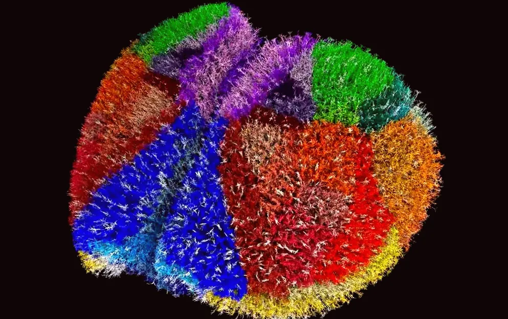 Supercomputer Generates Highly Realistic Virtual Brain