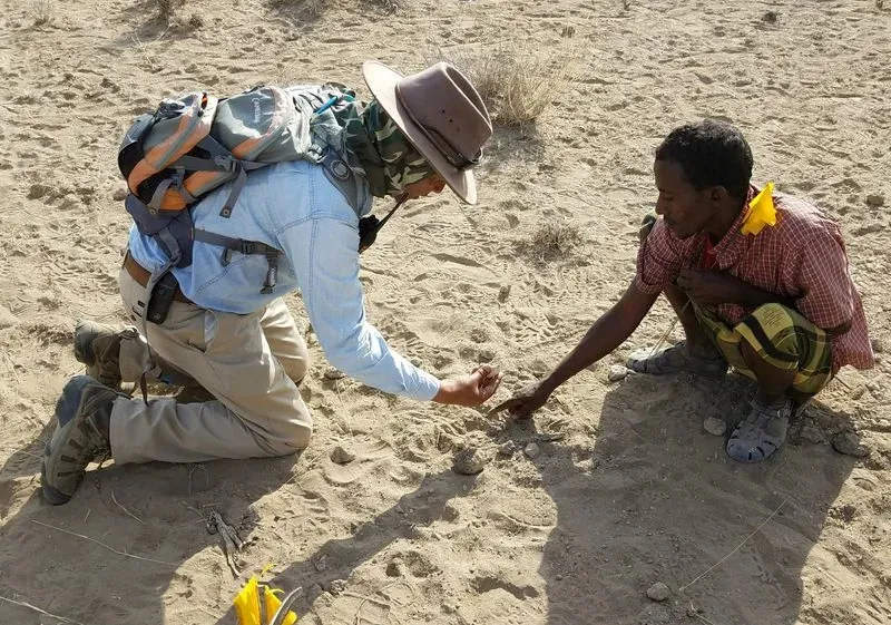 Scientists uncover the mystery of the ancient 'Burtele Foot'