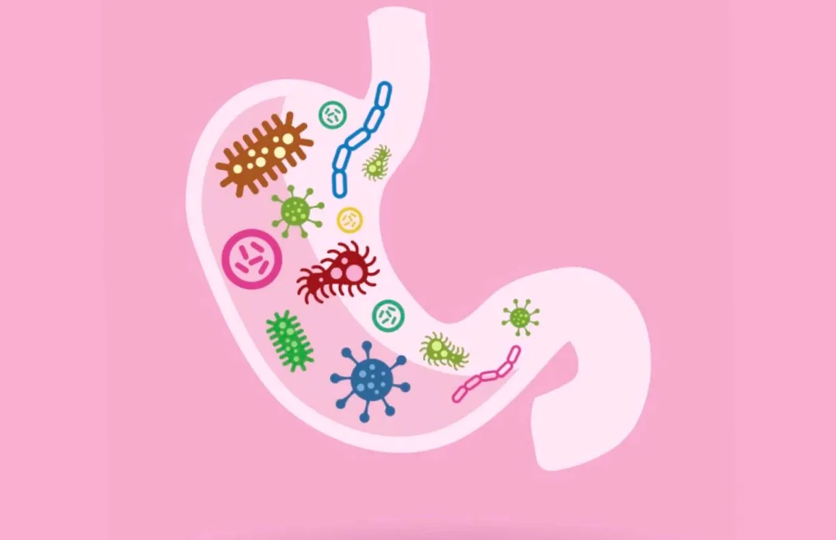 All You Need to Keep Yourself Safe from Norovirus