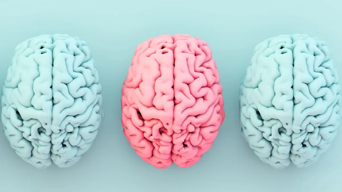 The Unexpected Connection Between a Vital Nutrient, Obesity, And Alzheimer's Risk