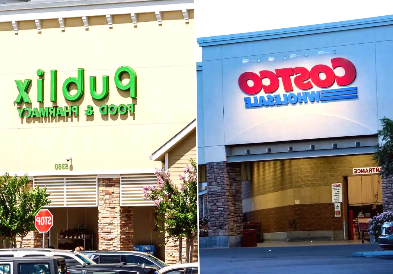 Recall of Publix and Costco Salad Dressings Due to Potential Plastic Contamination Affects Over 4,000 Cases
