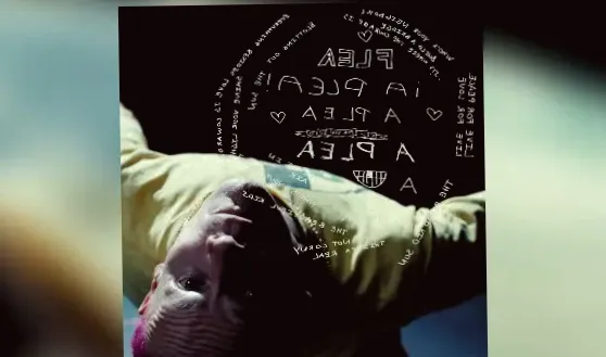 RHCP's Flea plans to debut solo album in 2026; check out new song 'A Plea' today