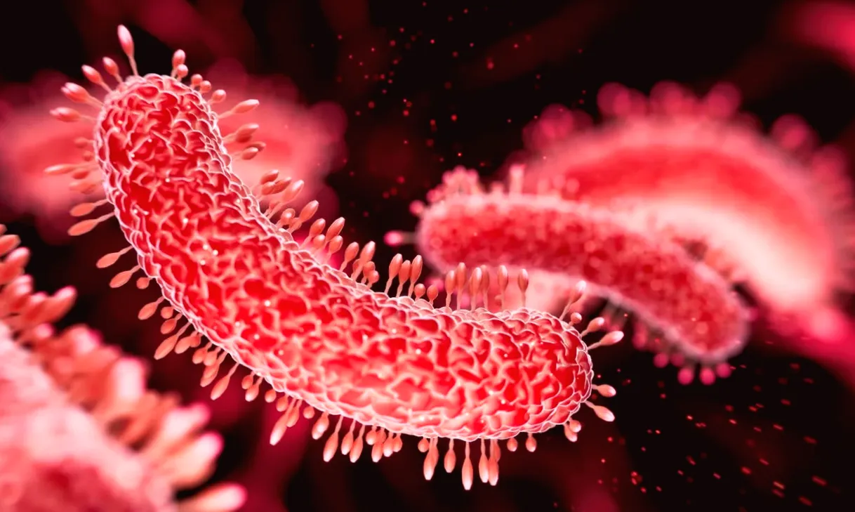 Researchers Have Recently Found a Way to Eradicate the Most Lethal Infectious Disease on Earth