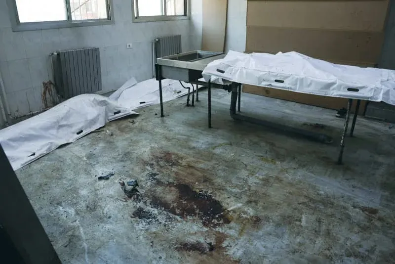 Israeli Druze physician establishes clandestine medical support system for besieged Sweida