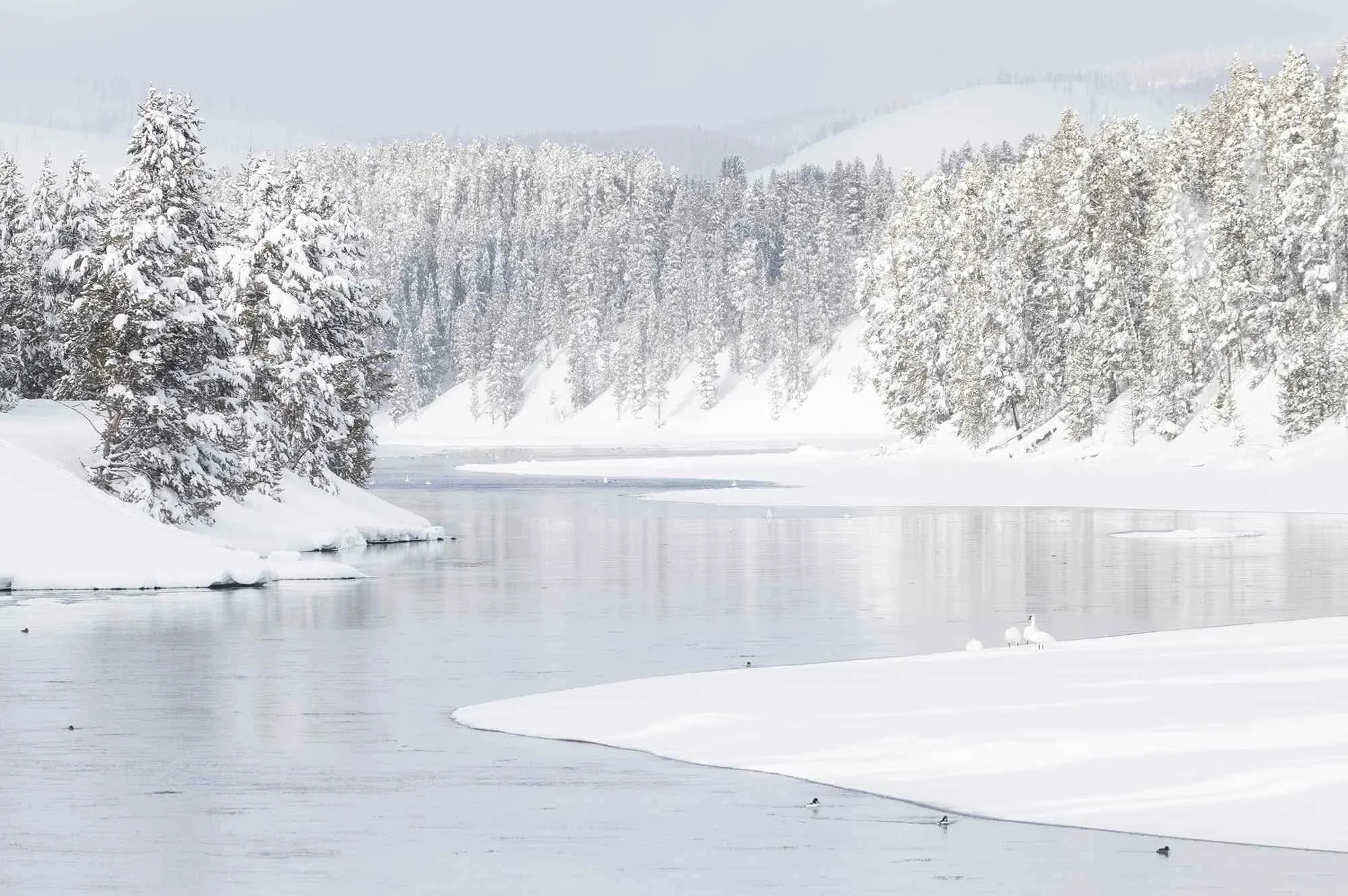 We Consulted 5 Travel Experts on the Top U.S. National Park for Winter - and They Unanimously Agreed