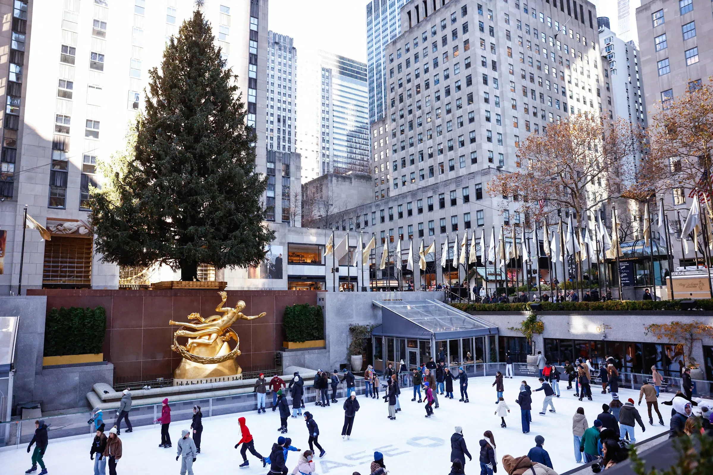 The heartwarming tale of the 2025 Rockefeller Center Christmas tree