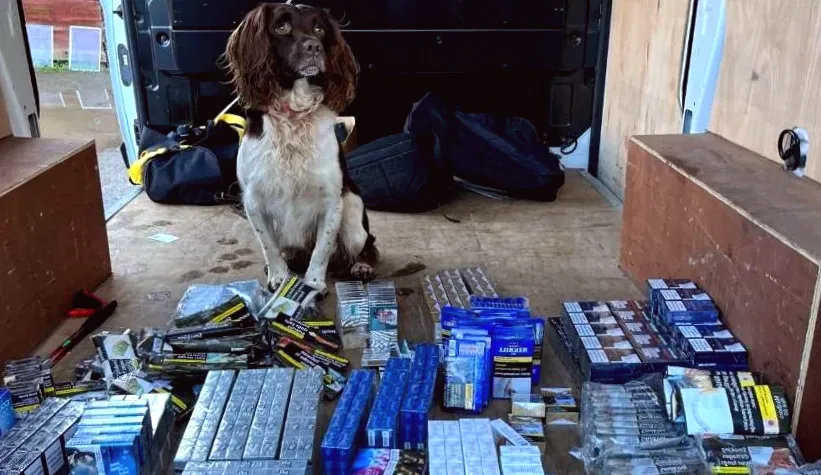 Shop raided, thousands of illegal cigarettes confiscated