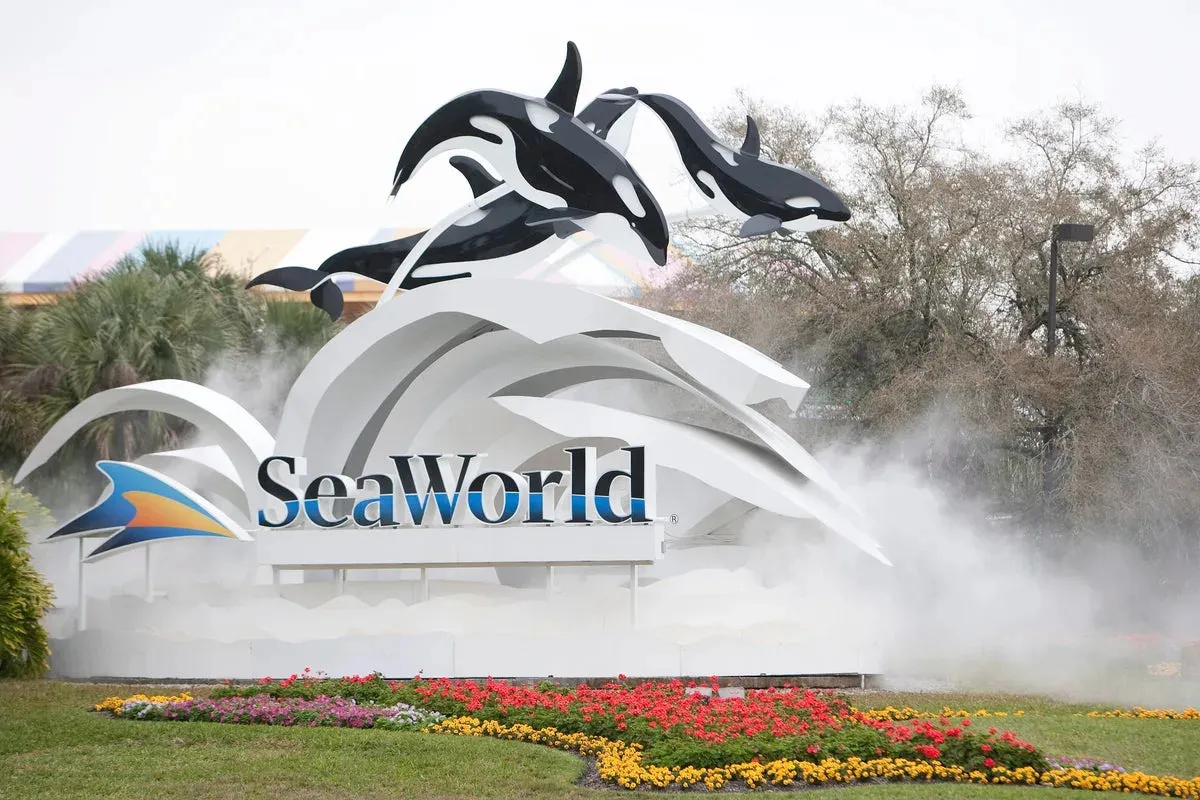 SeaWorld lawyers dispute parkgoers’ claim of being hit by a duck on a roller coaster