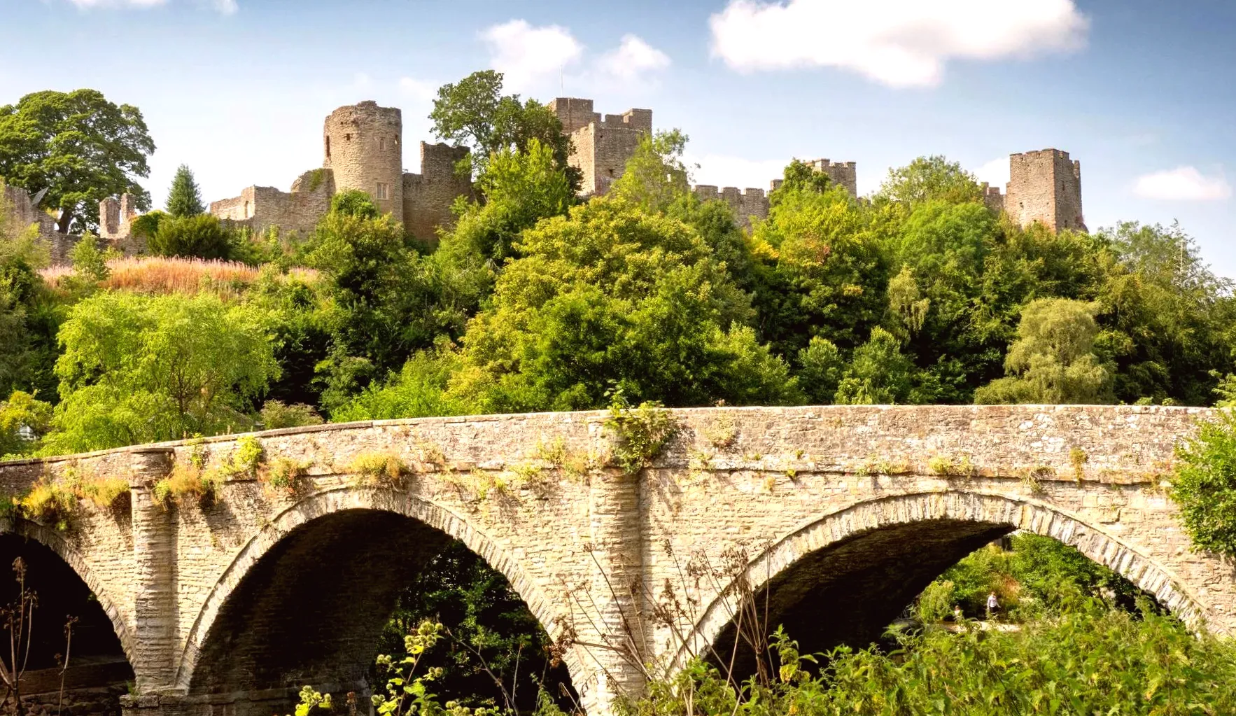 Potential Increase in Town's Council Tax with Devolution of Services