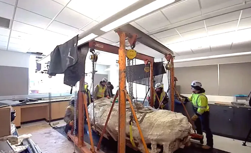 Research on 'Dinosaur mummy' fossil to be conducted at Winona State University