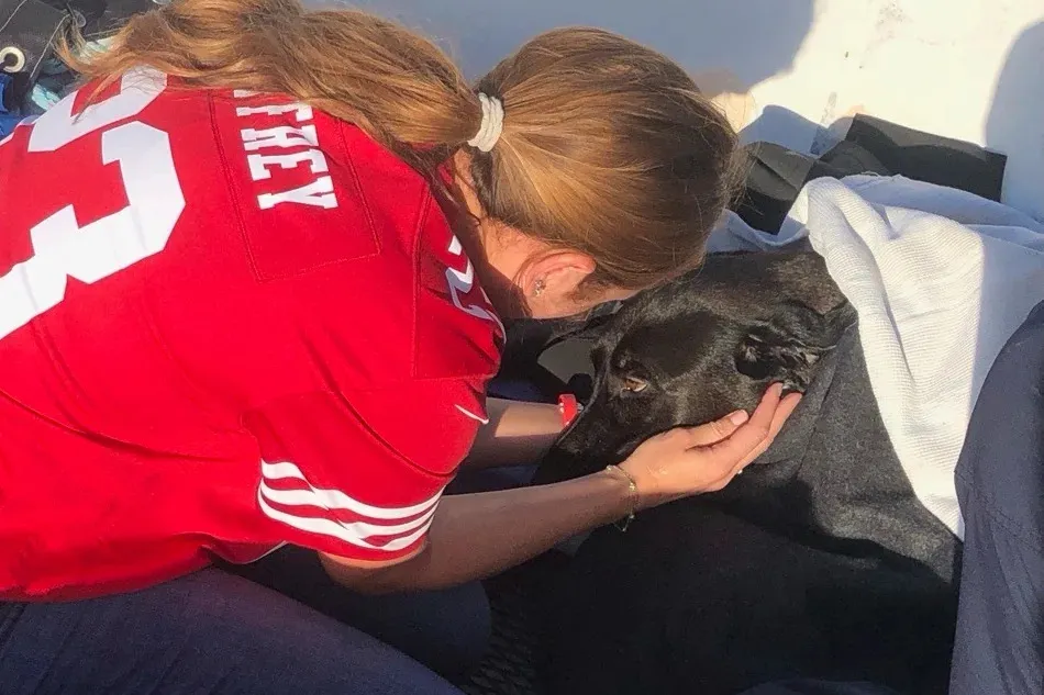 Rescue by lifeguards of dog caught in rip current off San Diego coast