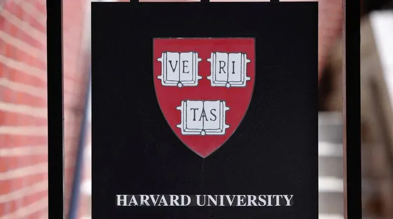 Harvard professor detained by US immigration agents for firing pellet gun near synagogue