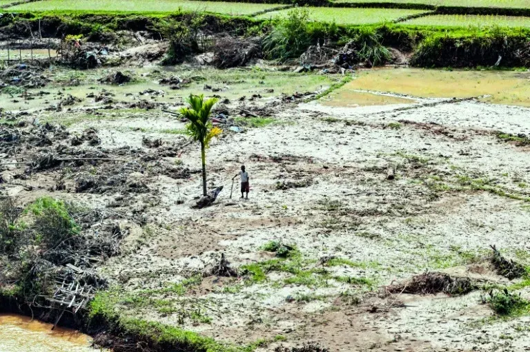 Survivors prepare for more rain in flood-hit Indonesia as they begin to rebuild