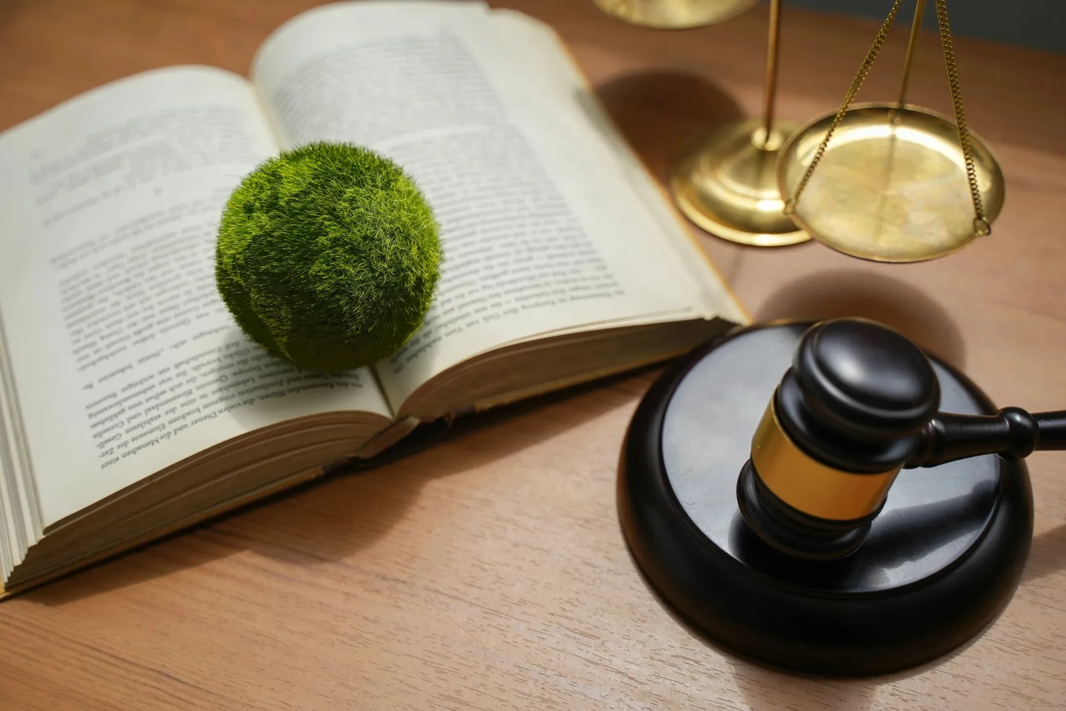 EU Commission circumvented transparency regulations for sustainability laws.