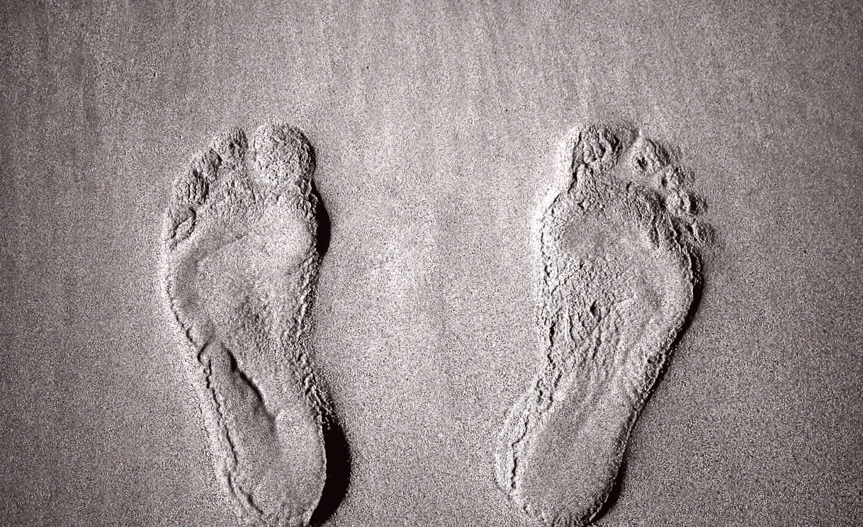 Archaeologists Discover Human Footprints Dating Back 115,000 Years in Unusual Location