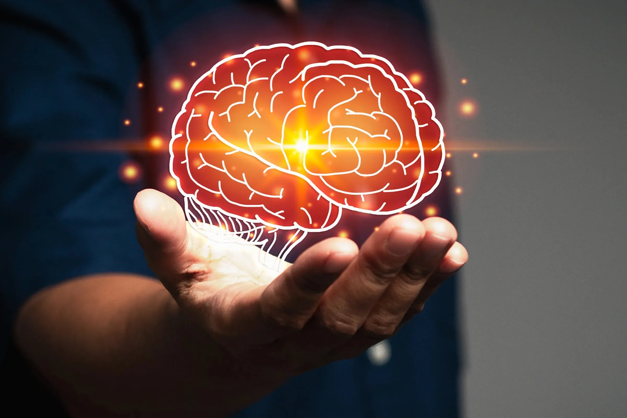 Five additional stages of brain development have been discovered, including an extended period of adolescence lasting from age 9 to 32