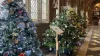 Largest Christmas tree festival at cathedral ever