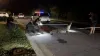 Video captures 7 Florida deputies 'capturing' 600-pound alligator