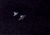Surf Cam Records Potential UFO Sighting in Southern California (Video)